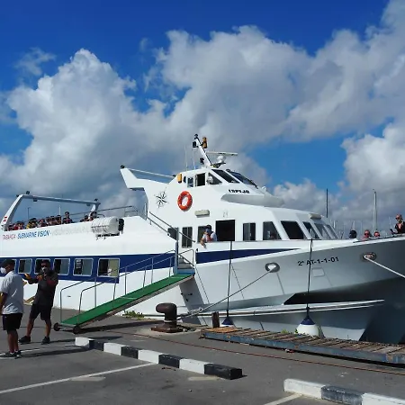 House Madamme Hébergement de vacances