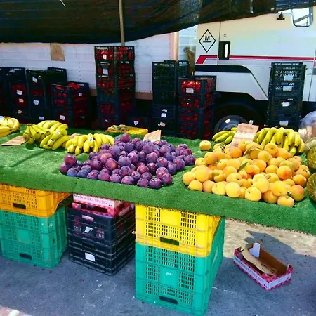 House Madamme Holiday home *