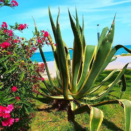 House Madamme Сasa de vacaciones *