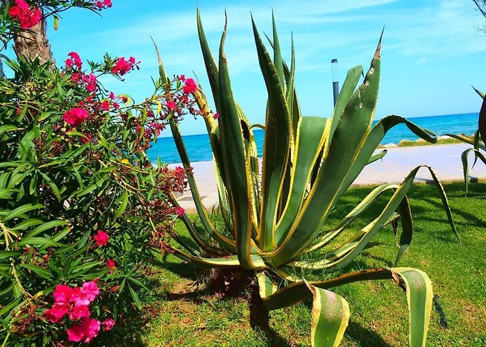 House Madamme Сasa de vacaciones *